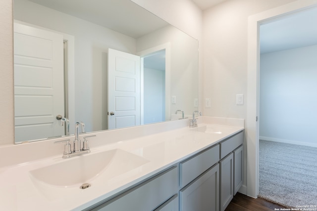 bathroom featuring vanity