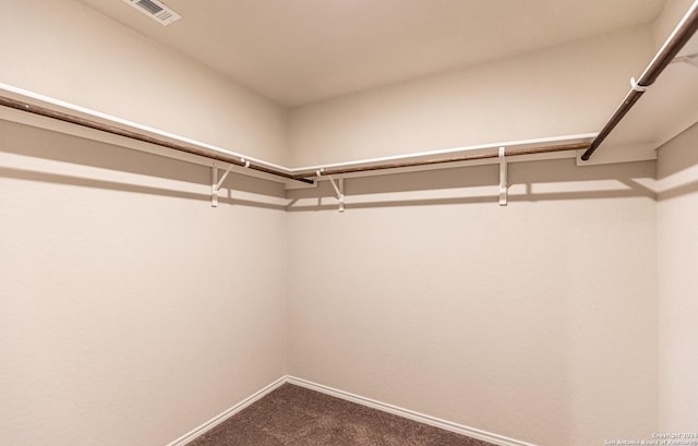 walk in closet featuring carpet floors