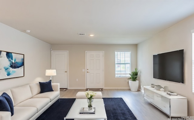 living room featuring light hardwood / wood-style flooring