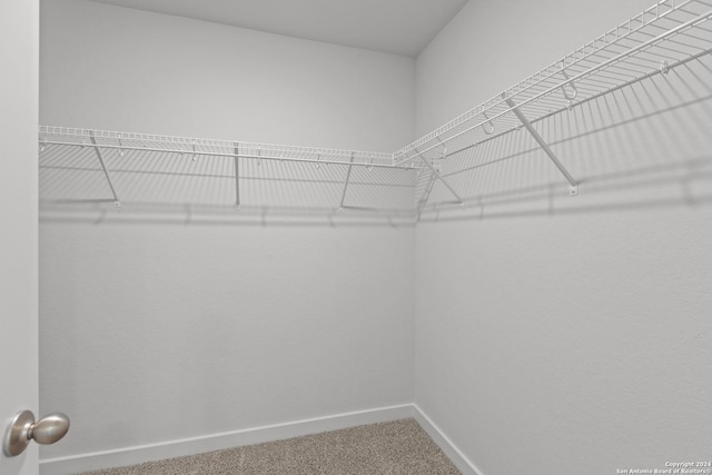 spacious closet with carpet flooring