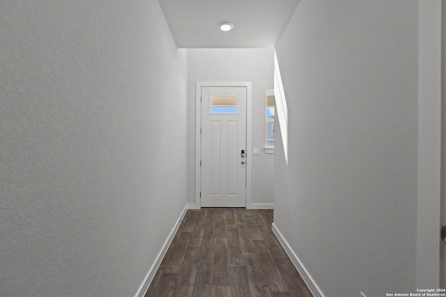 hall featuring dark hardwood / wood-style floors