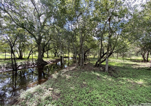 Listing photo 3 for 245 Buttercup Ln, Floresville TX 78114