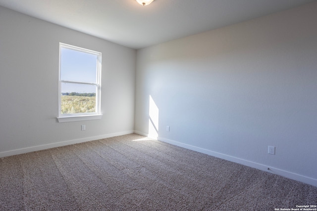 unfurnished room with carpet