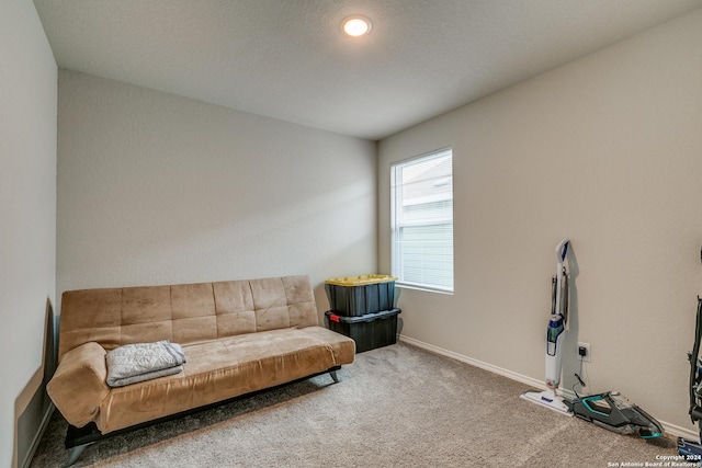 sitting room featuring carpet