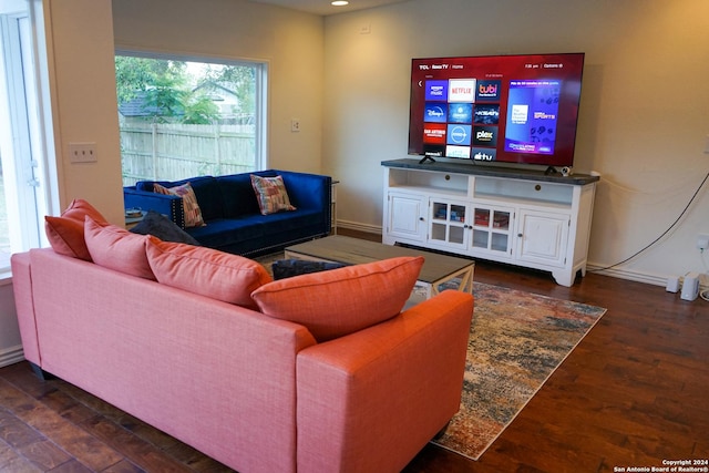 living room featuring dark wood-type flooring