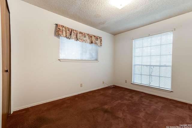 carpeted empty room featuring plenty of natural light and a textured ceiling