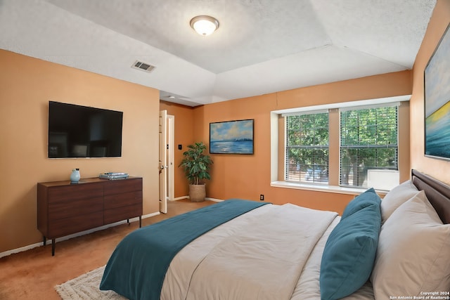 carpeted bedroom with a raised ceiling