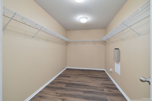 walk in closet with dark hardwood / wood-style flooring