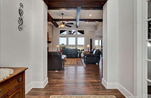 769 Pacific Pl, Spring Branch, TX 78070 - hallway with coffered ceiling, dark wood finished floors, and beam ceiling