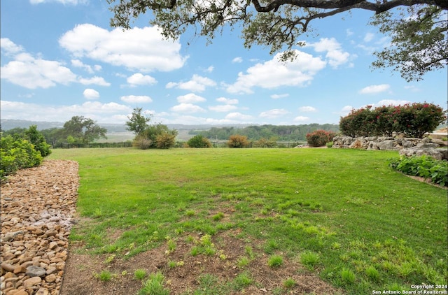 view of yard with a rural view