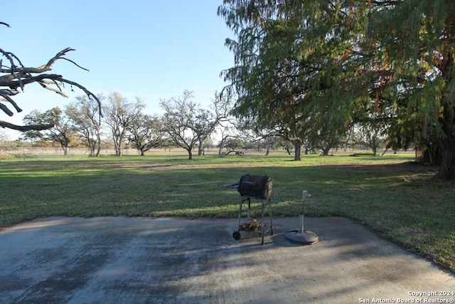 view of yard featuring a patio area