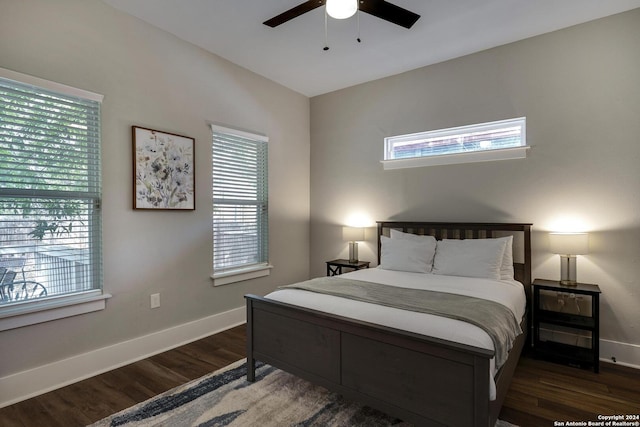 403 Queen Anne Ct, San Antonio, TX 78209 - bedroom featuring multiple windows, wood finished floors, and baseboards