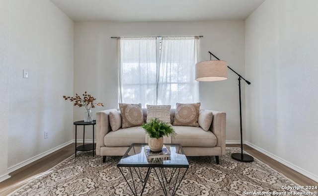 living room featuring hardwood / wood-style flooring