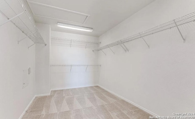 walk in closet featuring light colored carpet