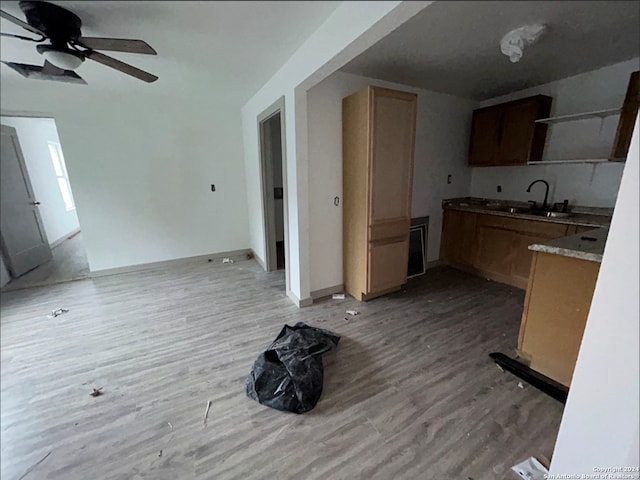 kitchen featuring ceiling fan, sink, and hardwood / wood-style floors