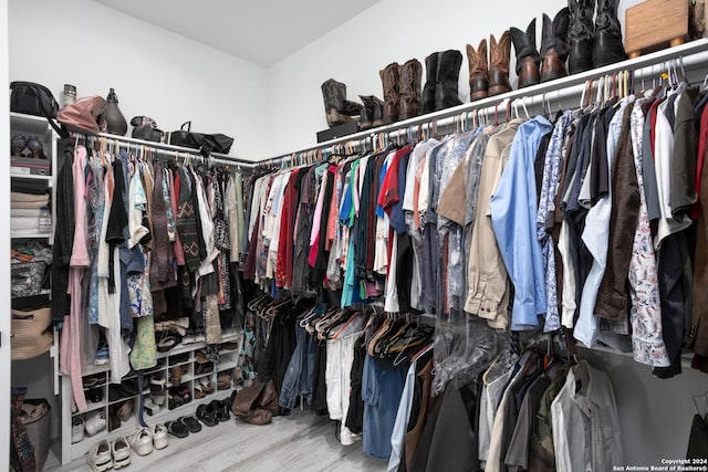 walk in closet with hardwood / wood-style floors