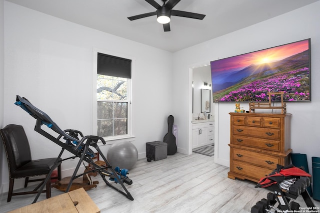 workout room with ceiling fan and light hardwood / wood-style flooring