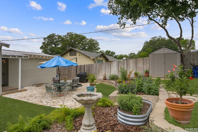 view of yard with a patio and a shed