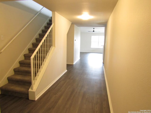 hallway featuring dark wood-type flooring