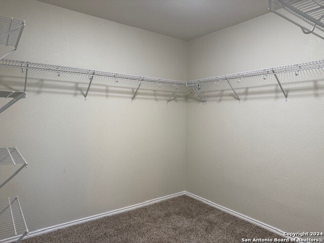 spacious closet featuring carpet flooring