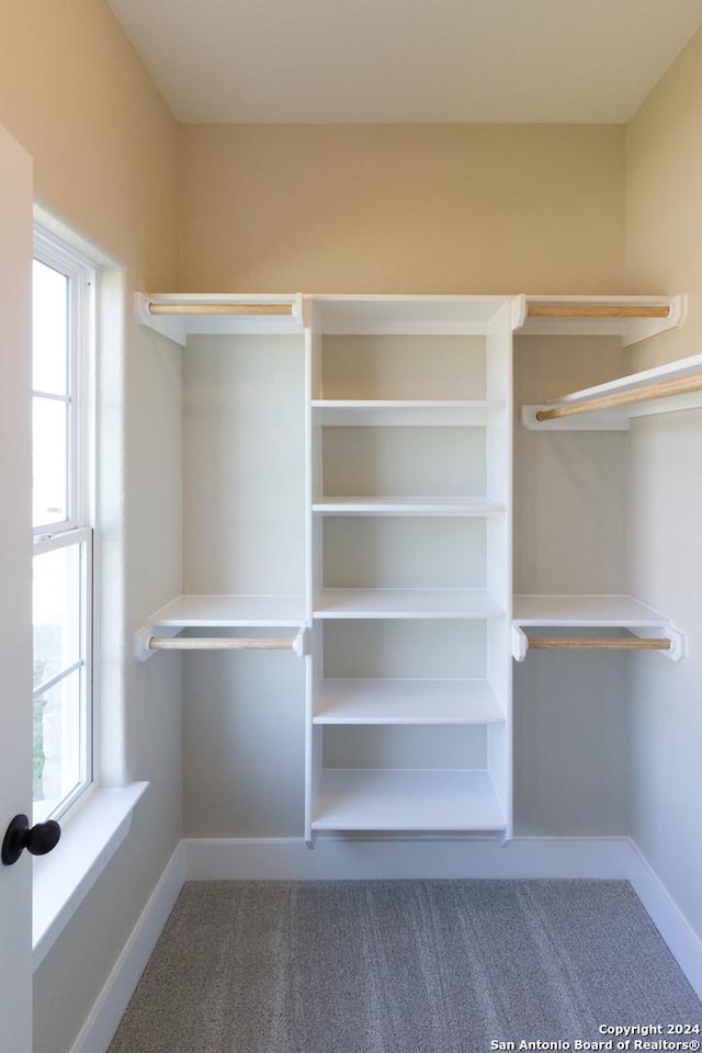 spacious closet with carpet flooring