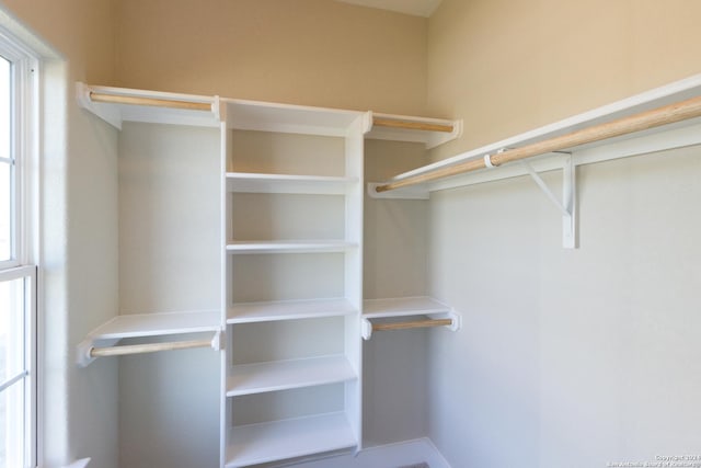 view of spacious closet