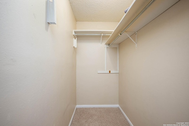 spacious closet featuring light colored carpet