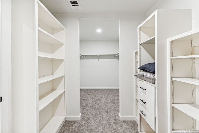 walk in closet with light colored carpet