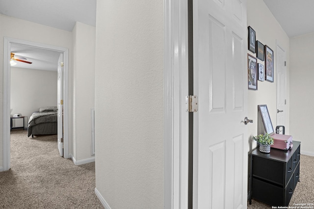 hallway featuring carpet flooring