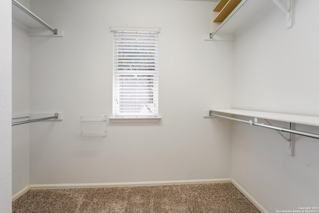 walk in closet featuring carpet