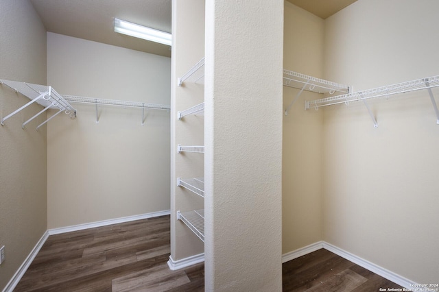 spacious closet featuring dark wood-type flooring