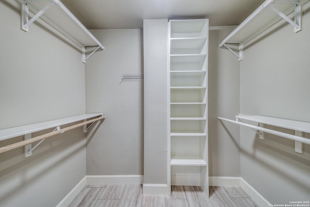 view of spacious closet