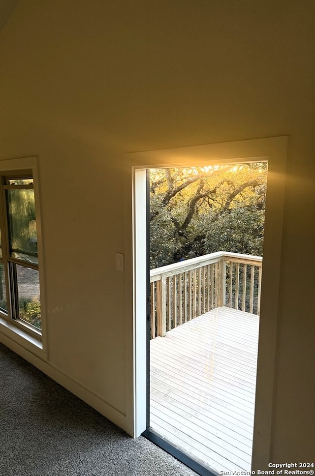 doorway with carpet floors