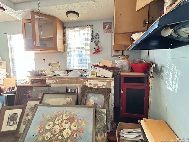 kitchen with extractor fan, a textured ceiling, and a wealth of natural light