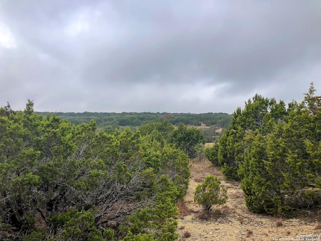 Listing photo 2 for TBD Fm 484, Canyon Lake TX 78133