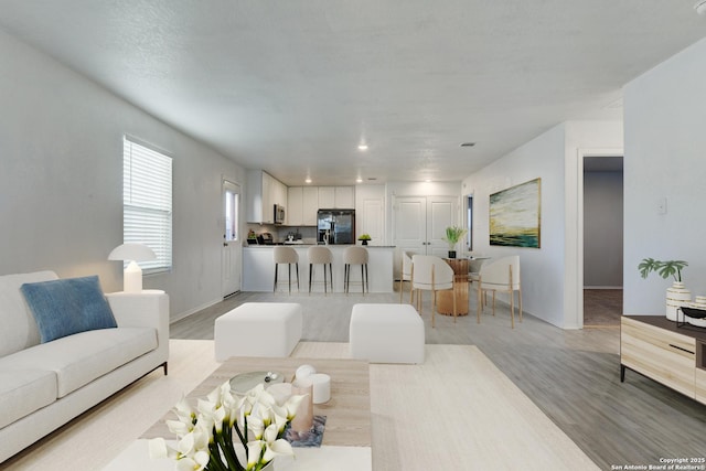 living room featuring light hardwood / wood-style floors