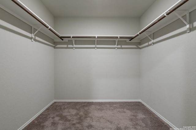 spacious closet with carpet