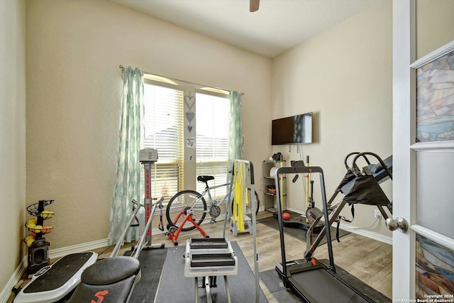 workout room featuring light hardwood / wood-style floors