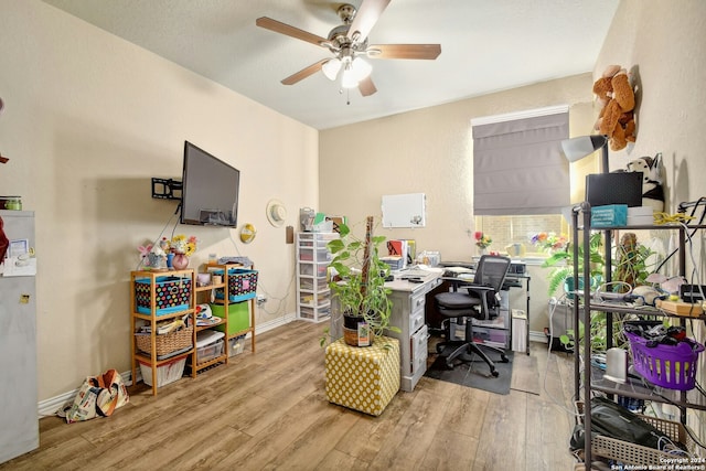 office space featuring light hardwood / wood-style floors and ceiling fan