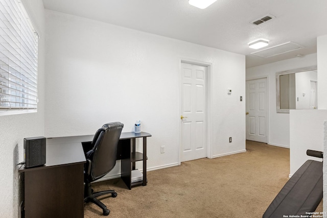 carpeted office with plenty of natural light