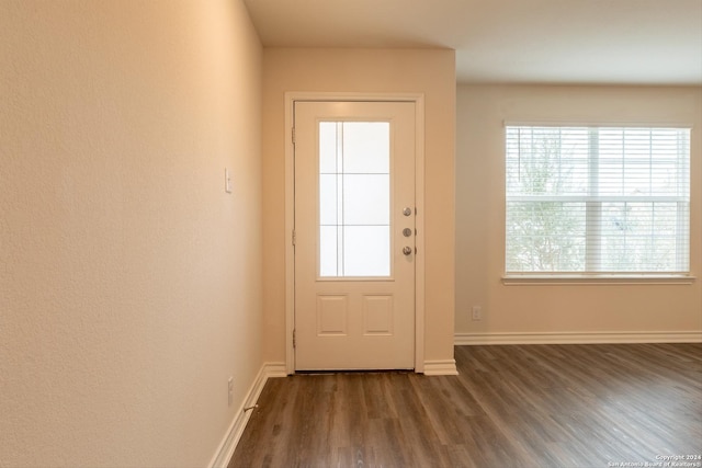 entryway with dark hardwood / wood-style flooring