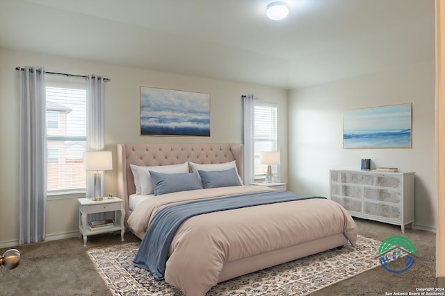 bedroom with multiple windows and dark colored carpet