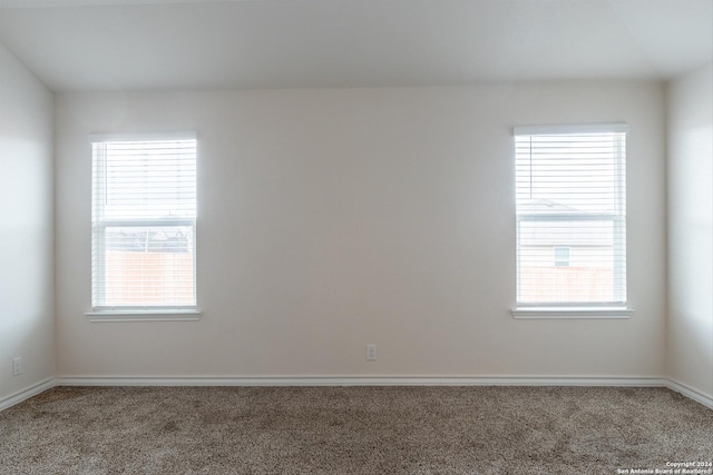 empty room featuring a wealth of natural light and carpet