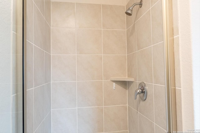 room details featuring tiled shower