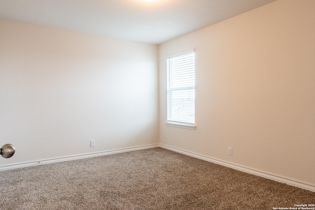 unfurnished room with carpet