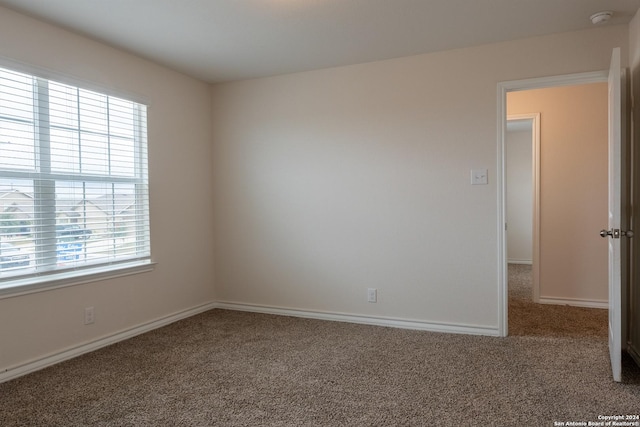 empty room featuring carpet