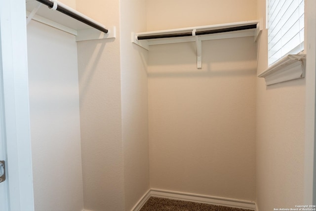 walk in closet featuring carpet floors