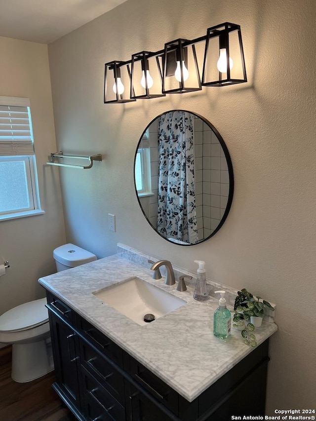 bathroom with hardwood / wood-style flooring, vanity, and toilet