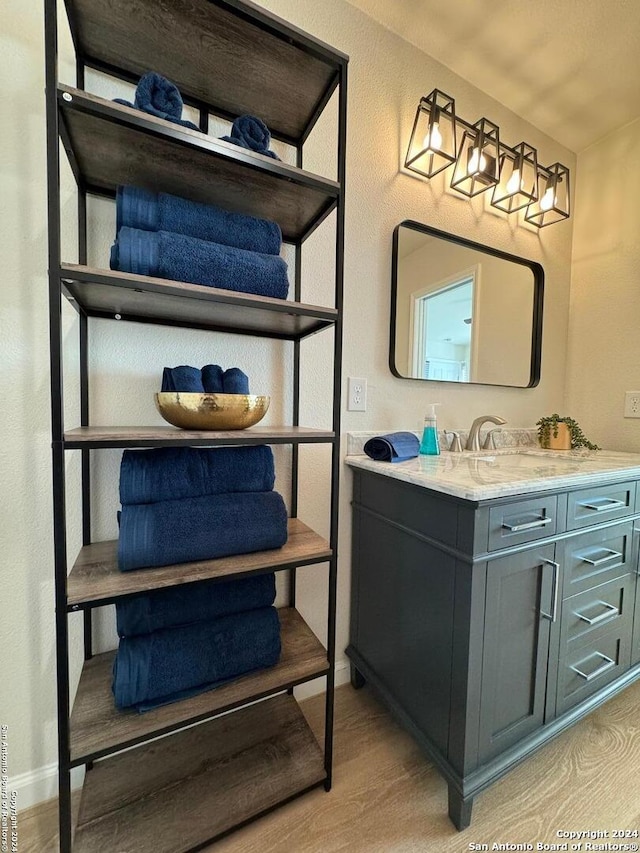 bathroom with hardwood / wood-style floors and vanity