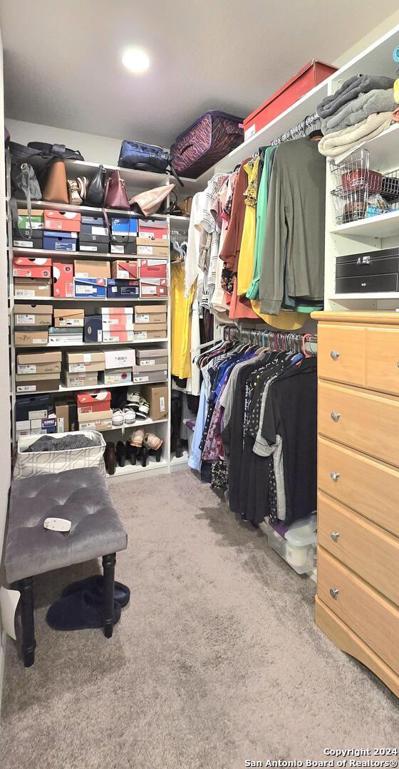 walk in closet with carpet floors